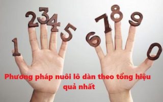 Phương pháp nuôi lô dàn theo tổng hiệu quả nhất